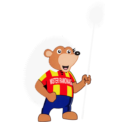 Mister Ramonage